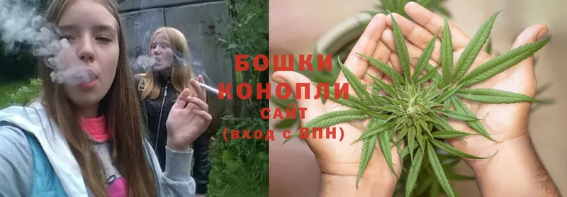 mega вход  купить наркотики цена  Домодедово  Бошки Шишки Amnesia 